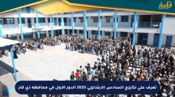 تعرف على نتائج السادس الابتدائي 2025 الدور الأول في محافظة ذي قار